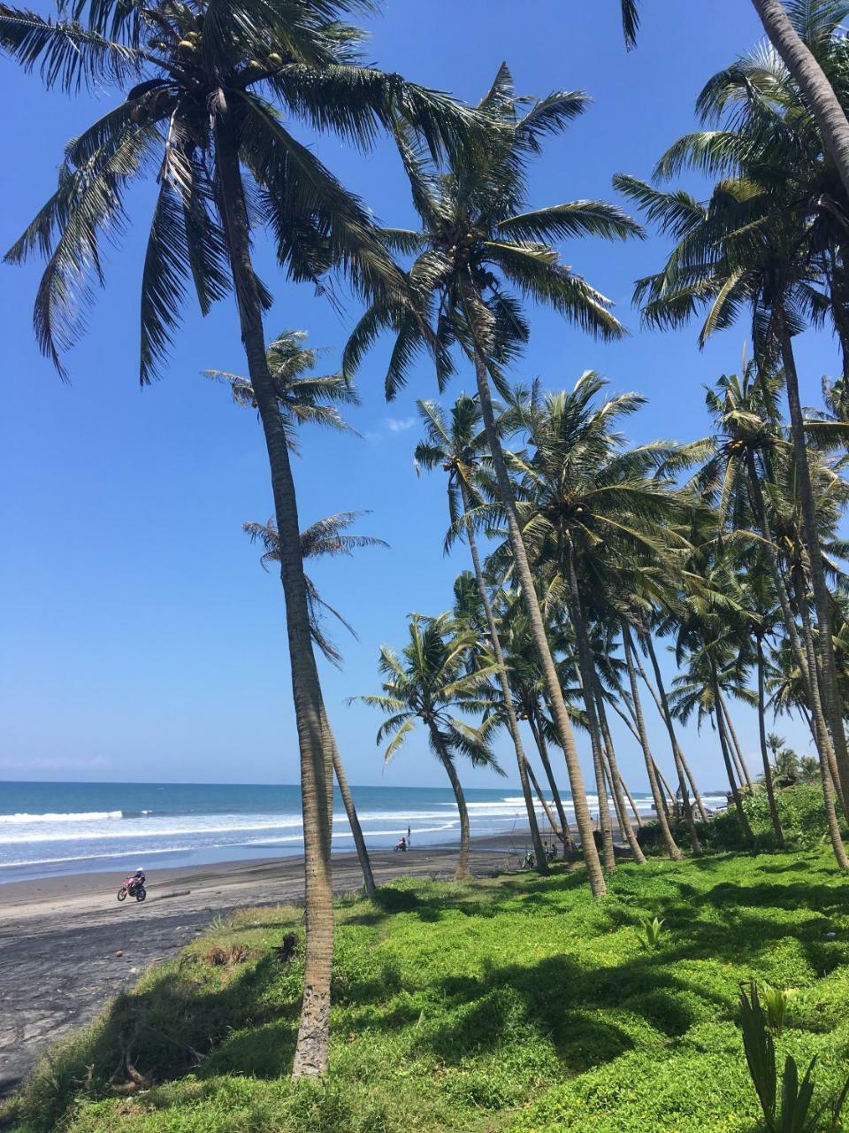 Most Exotic Beachfront Villa Keong Selemadeg エクステリア 写真